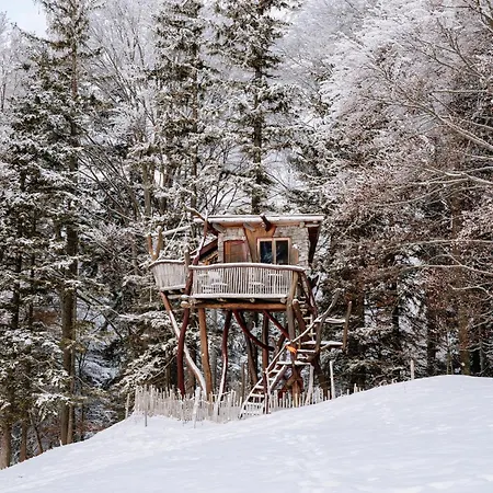 Schlossanger Alp